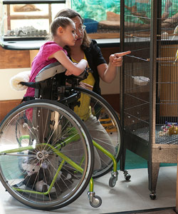 A young girl with disabilities in a green stander looks inside a cage as her therapist points to a bird
