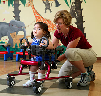 A young child with spina bifida practices early intervention stepping using a gait trainer with assistance from a therapist
