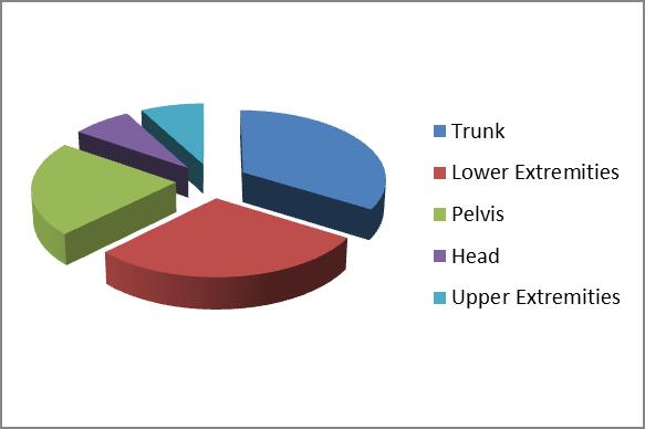 Survey results showing trunk, lower extremities, pelvis, head and upper extremities results in a pie chart for dynamic movements