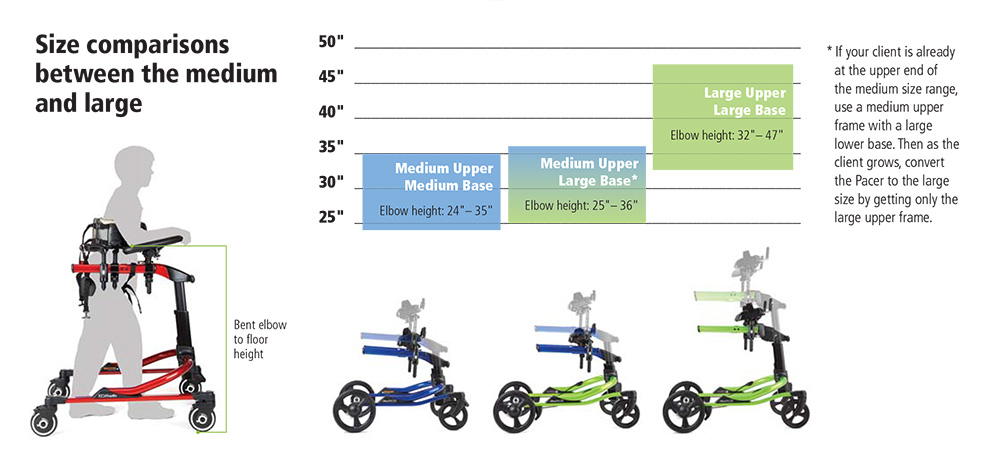 An illustration of size comparisons of the medium and large Rifton Pacer gait trainers.